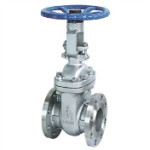 Rising Stem Gate Valves