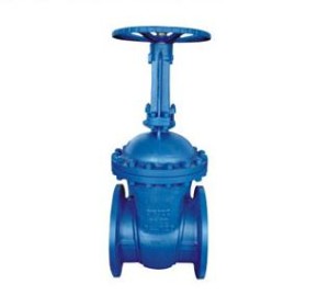 PN63~160 DIN Rising stem Gate Valve F7 