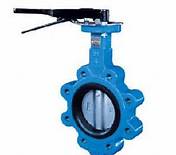 Wafer Type Center-Lined Butterfly Valve