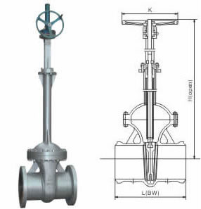 Class 150~600 Bellows Gate Valve 