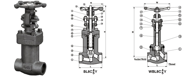 Class 150~1500 Bellow sealed Globe Valve