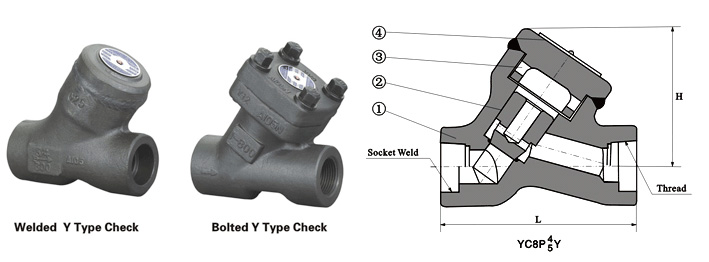 Class 800 Y Type Piston Check Valve