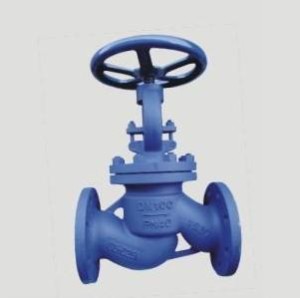 PN16~40 DIN Globe Valve F1